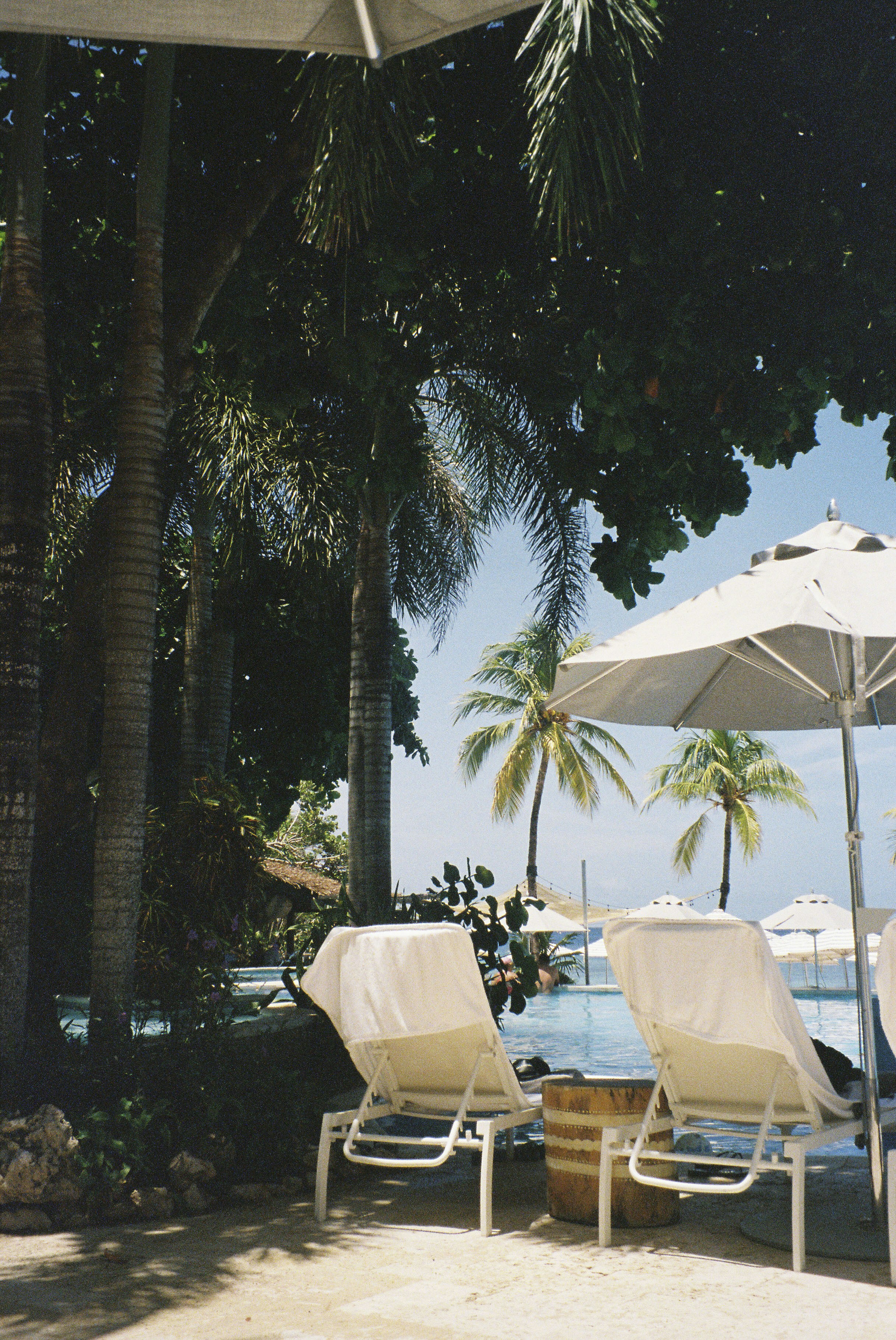 Relaxation Dream